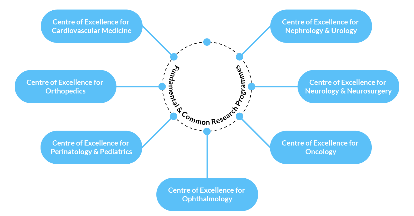 Fundamental&CommonRsearch1